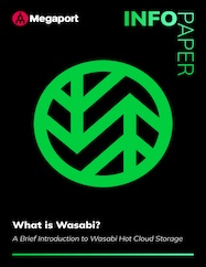 Planning Wasabi Connectivity: A Short Reference