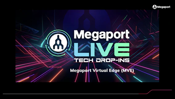 Megaport Virtual Edge (MVE)